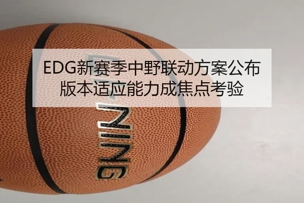 EDG新赛季中野联动方案公布 版本适应能力成焦点考验